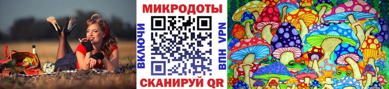 наркотики  Судогда  Псилоцибиновые грибы Cubensis 